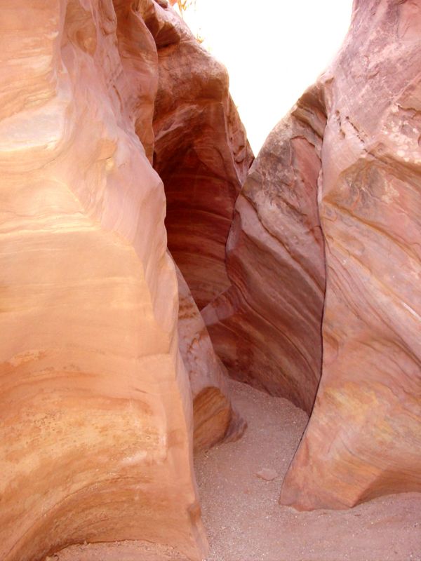 04160302LittleWildHorse (1096)